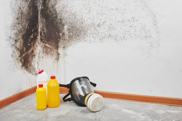 Crawl Space Mold Removal in Aurora, NE